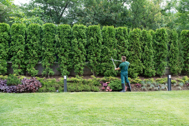 Best Tree Mulching Services  in Batesville, AR